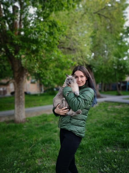 &laquo;Любит пожрать и себя&raquo;: хозяйка выставила на продажу кота-жиробаса за 400 тысяч рублей