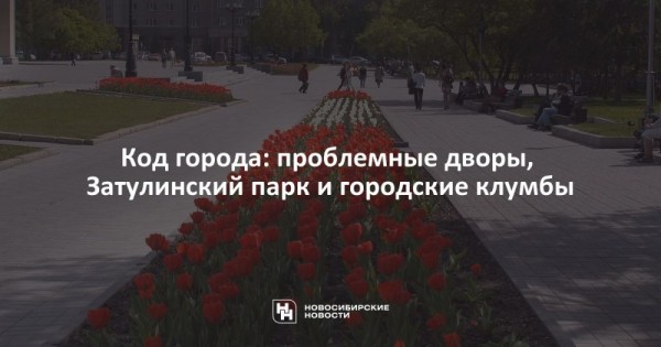Код города: проблемные дворы, Затулинский парк и городские клумбы Код города: проблемные дворы, Затулинский парк и городские клумбы