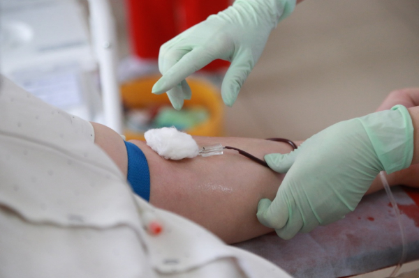 Антитела к коронавирусу ищут у доноров в Новосибирске Антитела к коронавирусу ищут у доноров в Новосибирске