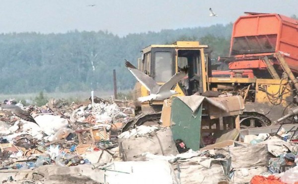 Отравившиеся на свалке в Черепаново работали без трудовых договоров Отравившиеся на свалке в Черепаново работали без трудовых договоров