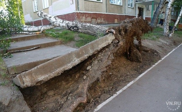 Ущерб от урагана посчитали в мэрии Новосибирска Ущерб от урагана посчитали в мэрии Новосибирска