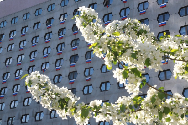 Флаги Дня Победы 2020 на балконах и в окнах Новосибирска Флаги Дня Победы 2020 на балконах и в окнах Новосибирска