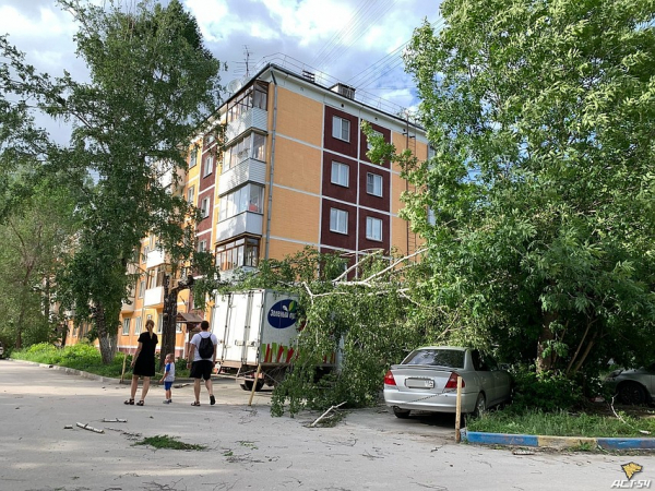 Полетело все: деревья падали на дома и машины, остановки сносило - фото и видео бури 26 мая 2020 года в Новосибирске