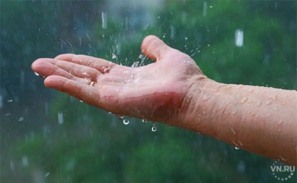 Погода 16 и 17 мая в Новосибирске: похолодание, дожди и грозы