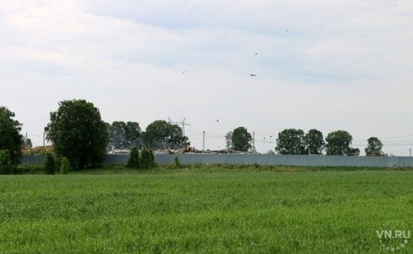 Отходами из трех районов переполнен полигон в Черепаново