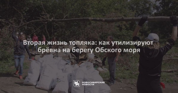 Вторая жизнь топляка: как утилизируют брёвна на&nbsp;берегу Обского моря