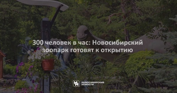 300 человек в&nbsp;час: Новосибирский зоопарк готовят к&nbsp;открытию
