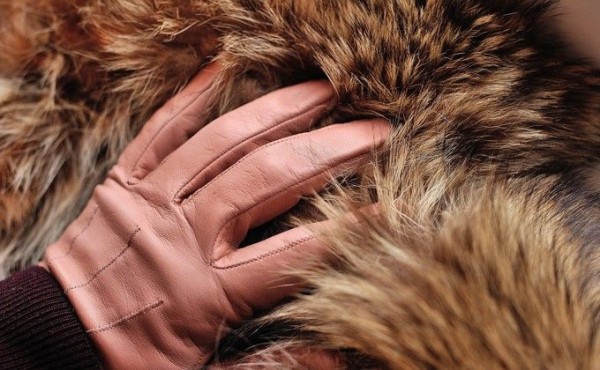 Мать с двумя шубами пострадала от рожденного в 18 лет сына