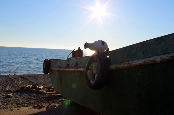 Где новосибирцы смогут отдохнуть на море с 15 июня 2020 года: цены, маршруты