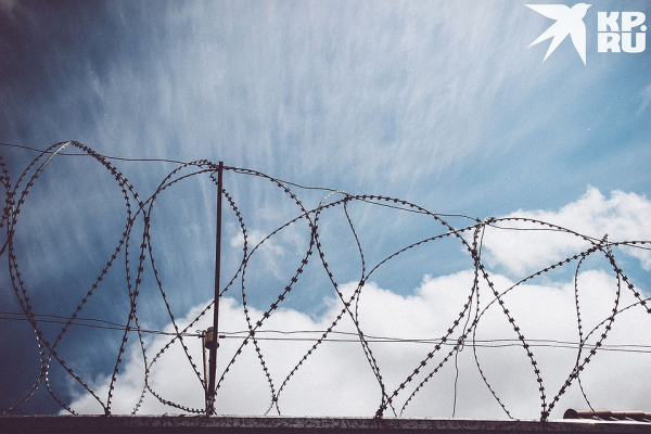 Как внук председателя суда ушел к боевикам: интервью с террористом, который обстрелял здание ФСБ в Дербенте