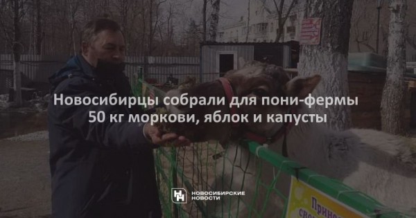 Новосибирцы собрали для пони-фермы 50 кг моркови, яблок и капусты Новосибирцы собрали для пони-фермы 50 кг моркови, яблок и капусты