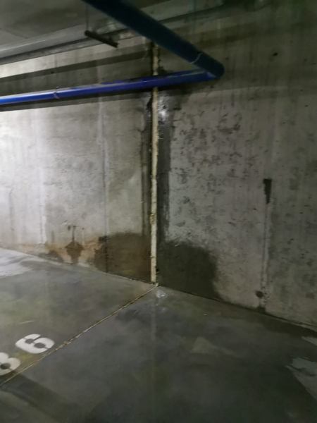 Мокрое дело на парковке