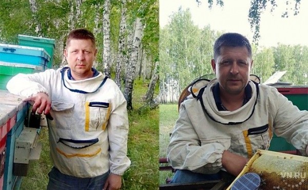 Засухи опасаются пчеловоды Карасукского района