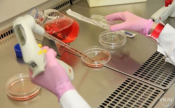 Сразу три прототипа вакцины от COVID-19 успешно прошли испытания Сразу три прототипа вакцины от COVID-19 успешно прошли испытания