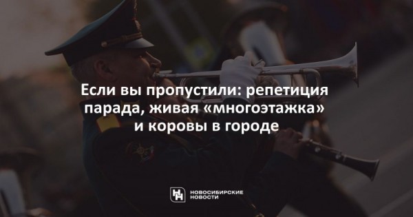 Если вы&nbsp;пропустили: репетиция парада, живая &laquo;многоэтажка&raquo; и&nbsp;коровы в&nbsp;городе