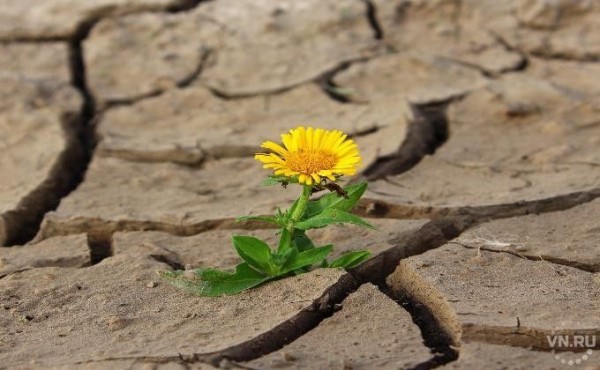 Засуха на все лето &ndash; прогноз погоды в Новосибирской области