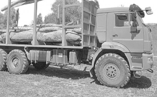 Грузовик пластика и стекла собрали на двух км пляжа экологи