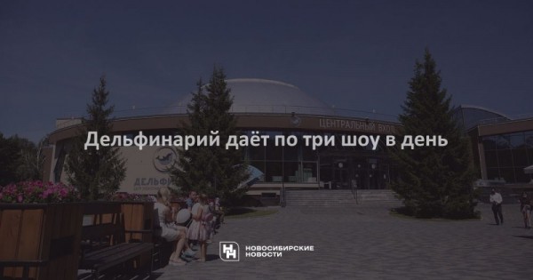 Дельфинарий даёт по&nbsp;три шоу в&nbsp;день