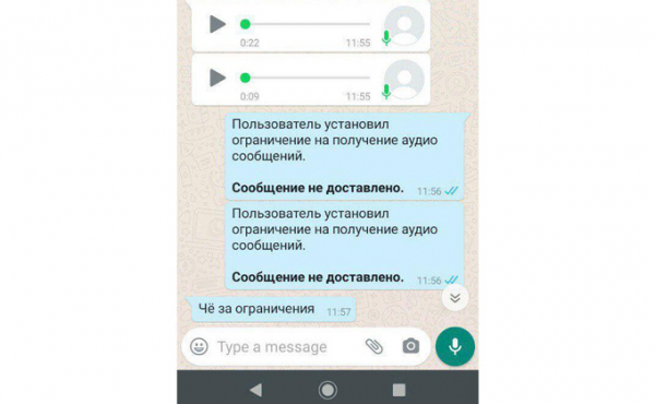 «Хамство, ругань и маты прилагаются»: как отучить отправлять голосовые сообщения «Хамство, ругань и маты прилагаются»: как отучить отправлять голосовые сообщения