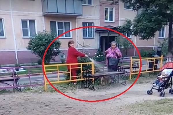 «Специально не целилась, извинилась...»: домоуправ объяснила видео, на котором обливает соседских детей водой из шланга «Специально не целилась, извинилась...»: домоуправ объяснила видео, на котором обливает соседских детей водой из шланга