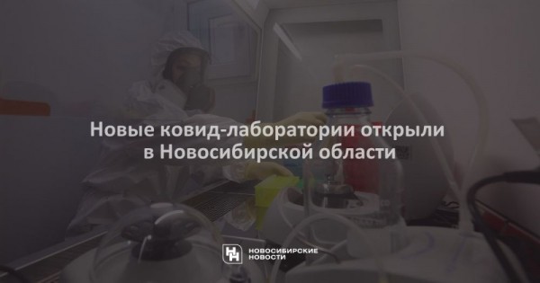 Новые ковид-лаборатории открыли в&nbsp;Новосибирской области