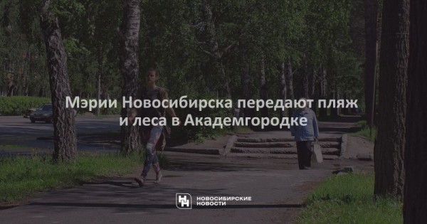 Мэрии Новосибирска передают пляж и леса в Академгородке