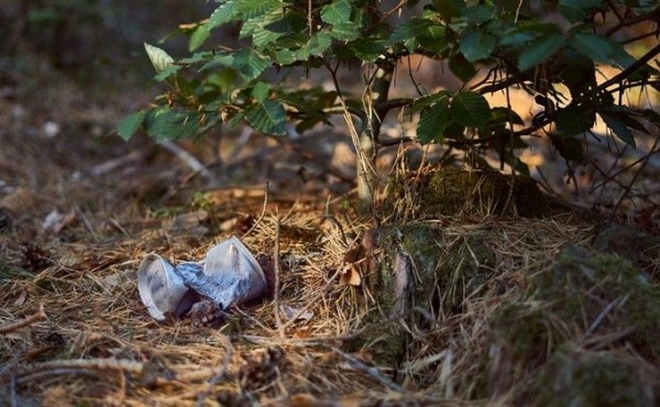 В областном МинЖКХ опровергли строительство мусорного полигона рядом с Бердском