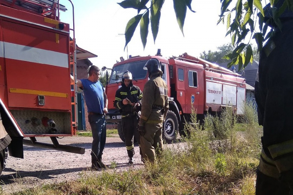 Пожар в приюте «Кошкино лукошко» в Новосибирске: перед этим зоозащитники получили похоронный венок Пожар в приюте «Кошкино лукошко» в Новосибирске: перед этим зоозащитники получили похоронный венок