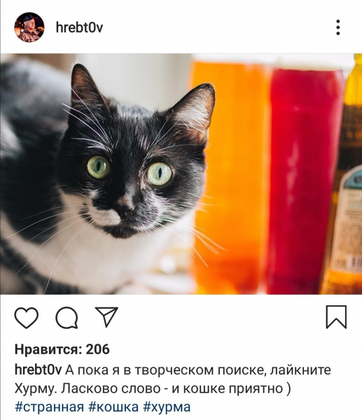 Тревел-блогера обвиняют в убийстве подписчика: что между ними произошло на самом деле