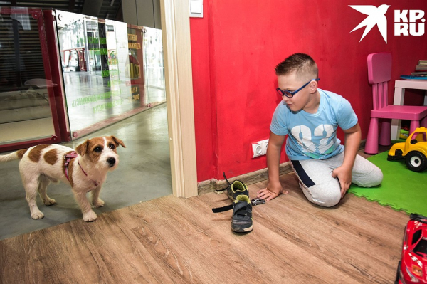 «Многие таких детей боятся, а я — люблю»: парень бесплатно стрижет маленьких аутистов и больных ДЦП «Многие таких детей боятся, а я — люблю»: парень бесплатно стрижет маленьких аутистов и больных ДЦП