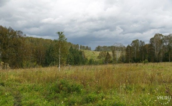 Пенсионерка пропала без вести в краю исчезнувших деревень Пенсионерка пропала без вести в краю исчезнувших деревень