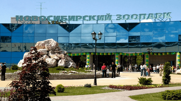 Билетные кассы открылись в зоопарке Новосибирска Билетные кассы открылись в зоопарке Новосибирска