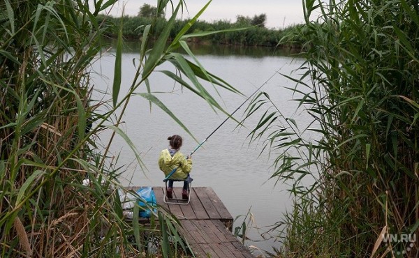 Щука-переросток, Лунтик и пираньи: самые экзотические рыбы, пойманные в Оби Щука-переросток, Лунтик и пираньи: самые экзотические рыбы, пойманные в Оби