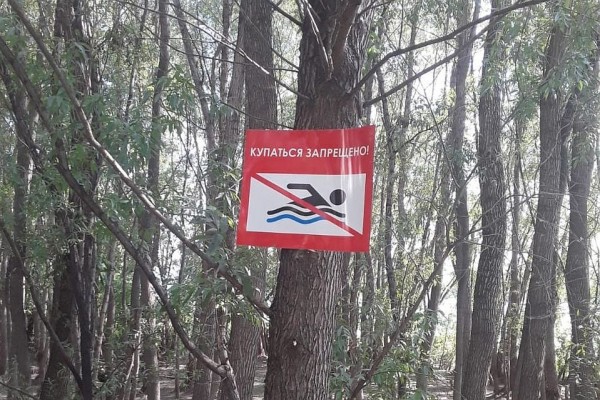 &laquo;Дети резвились, как вдруг попали в водоворот&raquo;: три человека погибли, спасая девочку из Оби