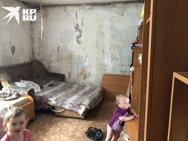 &laquo;Мухи ползают по детям, вместо обоев - плесень&raquo;: правозащитница показала, в каких условиях живет многодетная семья под Новосибирском