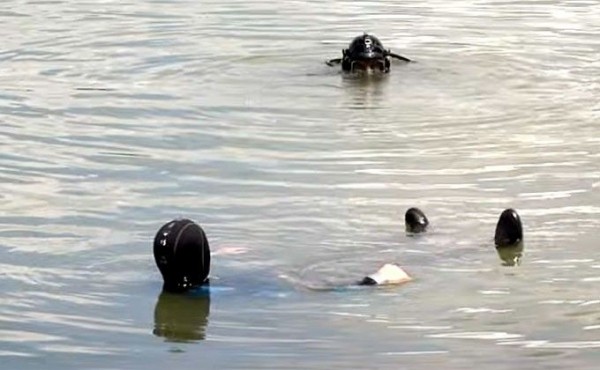 Тракторист, 14-летняя школьница и многодетная мать погибли на водоеме