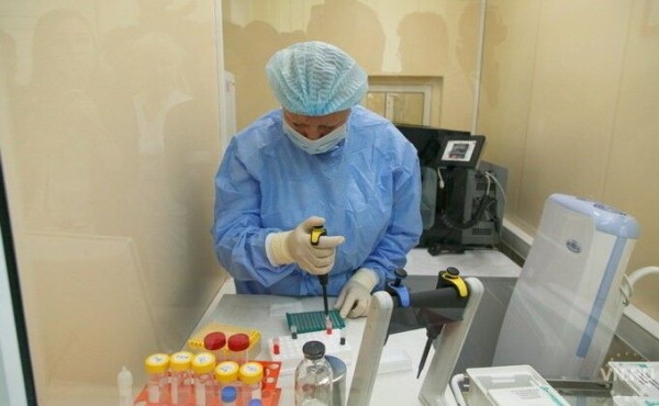 Антитела, нейтрализующие коронавирус, получили ученые из Новосибирска Антитела, нейтрализующие коронавирус, получили ученые из Новосибирска