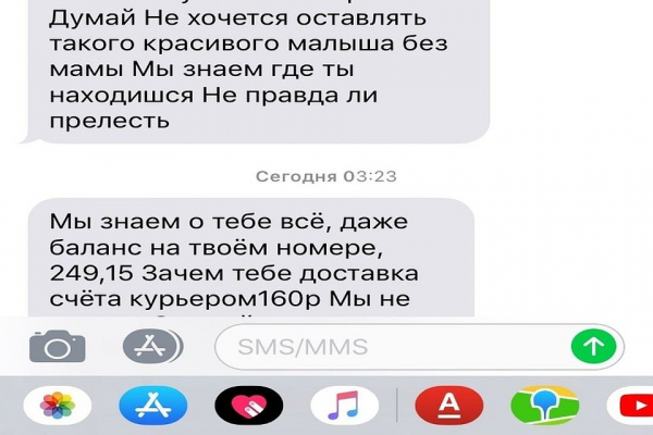Пожар в приюте «Кошкино лукошко» в Новосибирске: перед этим зоозащитники получили похоронный венок Пожар в приюте «Кошкино лукошко» в Новосибирске: перед этим зоозащитники получили похоронный венок