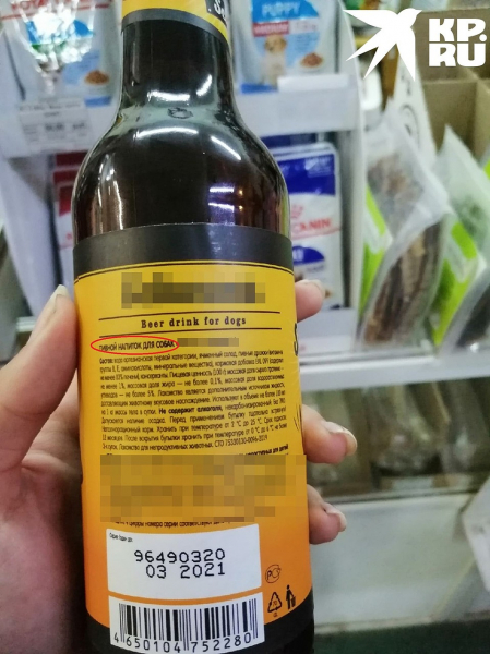 На зависть котикам: в новосибирских зоомагазинах появилось пиво для собак