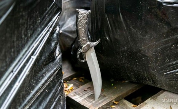 После двух дней в доме с трупами убийца пожаловался матери