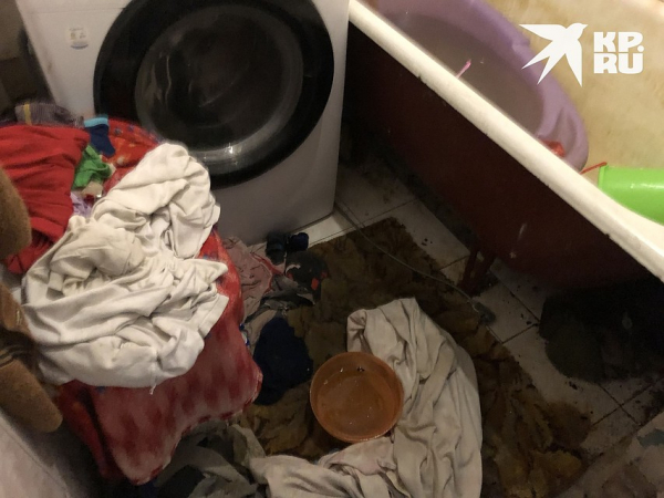 &laquo;Мухи ползают по детям, вместо обоев - плесень&raquo;: правозащитница показала, в каких условиях живет многодетная семья под Новосибирском