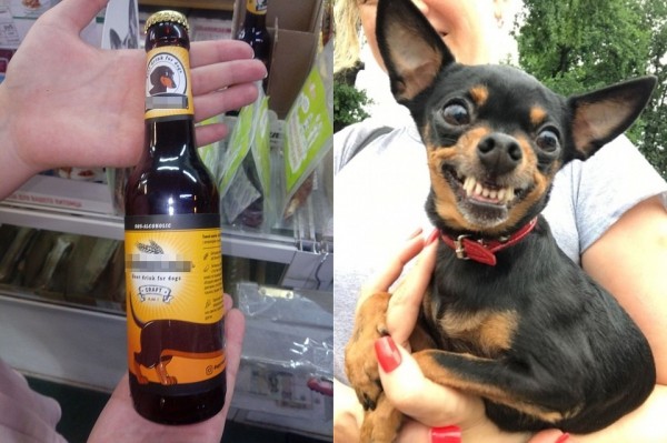 На зависть котикам: в новосибирских зоомагазинах появилось пиво для собак