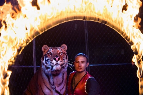 «У нас что, рук нет? Тигра не сможем прокормить?»: из-за коронавируса артисты цирка шапито стали грузчиками и таксистами «У нас что, рук нет? Тигра не сможем прокормить?»: из-за коронавируса артисты цирка шапито стали грузчиками и таксистами