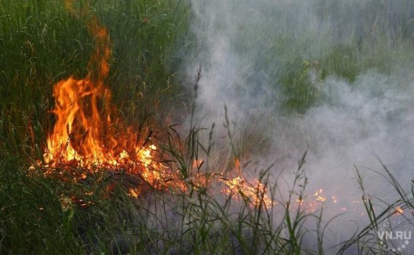 Природные пожары угрожают юго-западу Новосибирской области Природные пожары угрожают юго-западу Новосибирской области