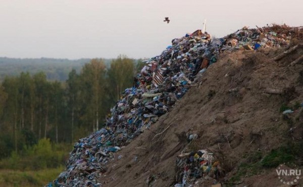 Плата за вывоз мусора вырастет в Новосибирске Плата за вывоз мусора вырастет в Новосибирске