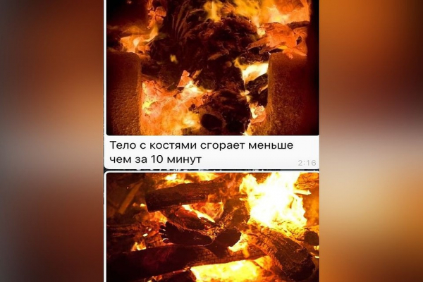 Пожар в приюте «Кошкино лукошко» в Новосибирске: перед этим зоозащитники получили похоронный венок Пожар в приюте «Кошкино лукошко» в Новосибирске: перед этим зоозащитники получили похоронный венок