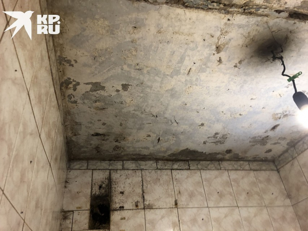 &laquo;Мухи ползают по детям, вместо обоев - плесень&raquo;: правозащитница показала, в каких условиях живет многодетная семья под Новосибирском