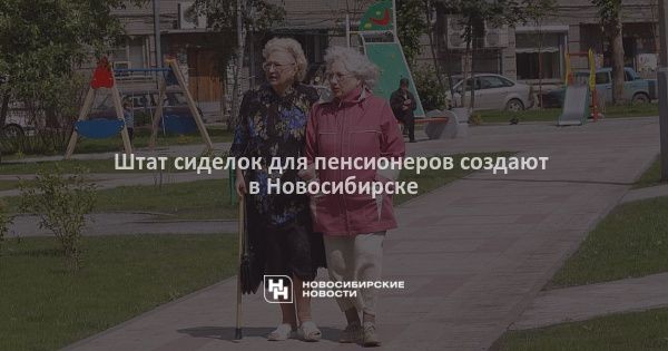 Штат сиделок для пенсионеров создают в&nbsp;Новосибирске