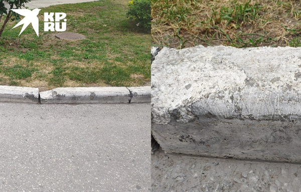 «Задавите их, пожалуйста!»: бывший полицейский устроил соседскую войну с женщиной и детьми на самокатах