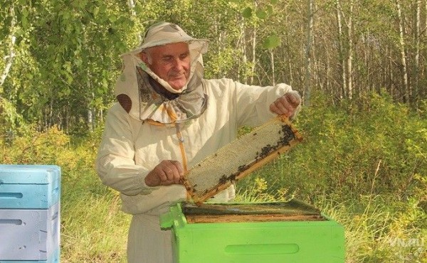 Пасечник из Багана: &laquo;Быть пчеловодом &mdash; это значит, стать немного пчелой&raquo;